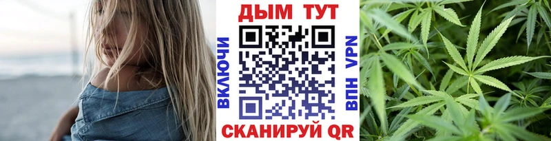 закладки  Чернушка  Марихуана индика 